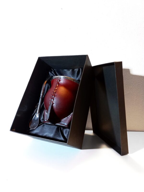 BOX DE PRESENTACION